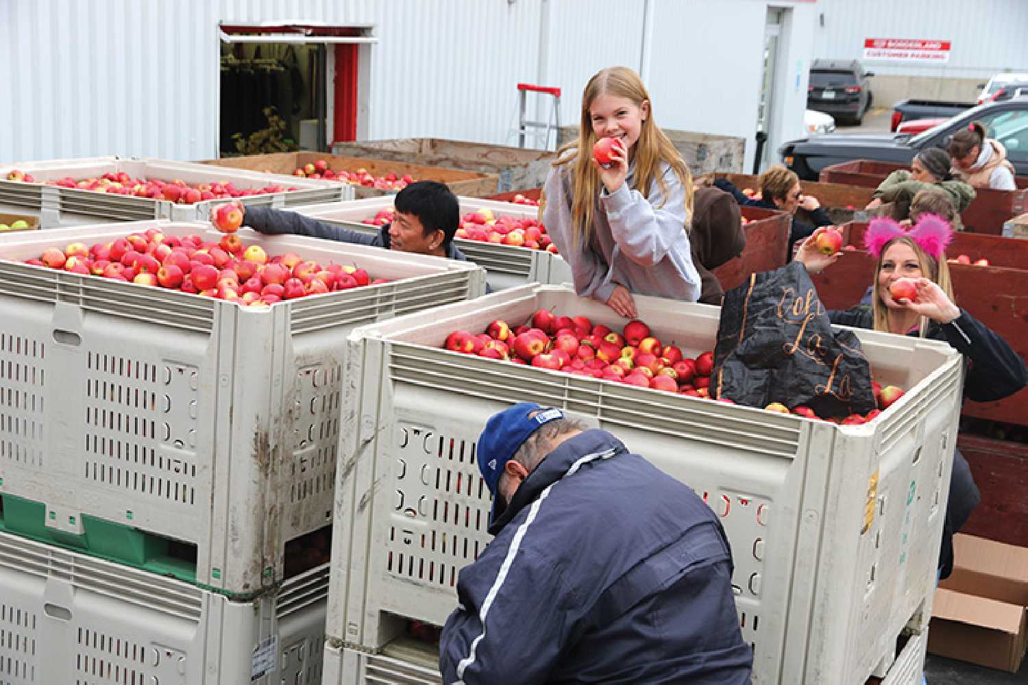 The huge shipment of apples outside the Moosomin Food Share. In total there were 38,400 pounds and 45 crates shipped to Moosomin.